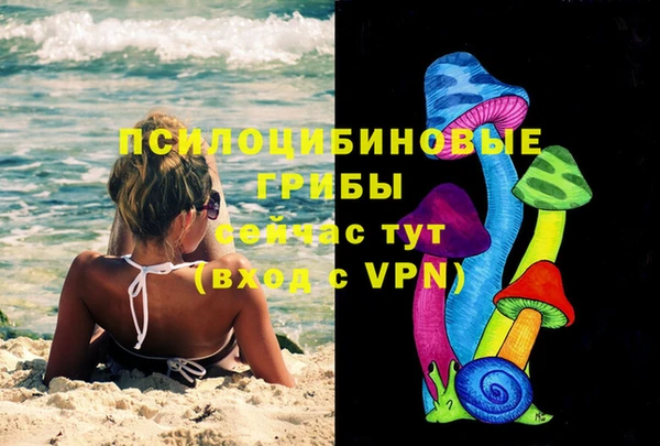 MDMA Бородино