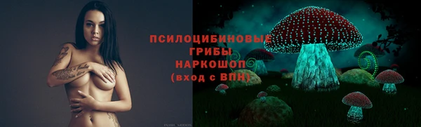 MDMA Бородино