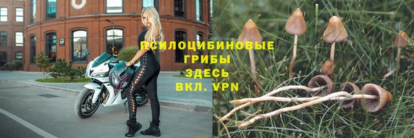 тгк Бугульма